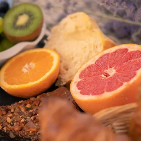 فندق Le President-gare Nimes Pont Du Gard 3*