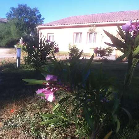 Le President-gare Nimes Pont Du Gard 3*